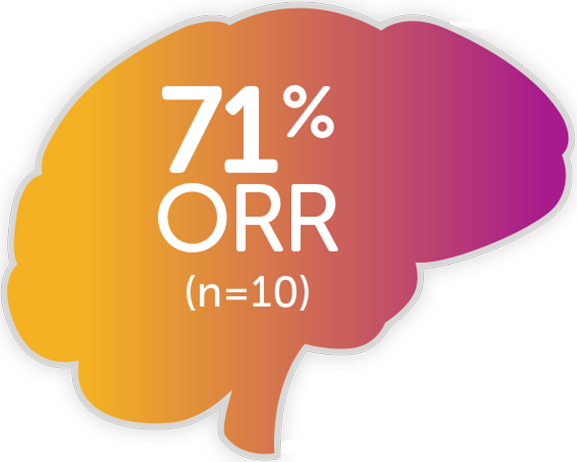 Efficacy in CNS (central nervous system) metastases<br />
